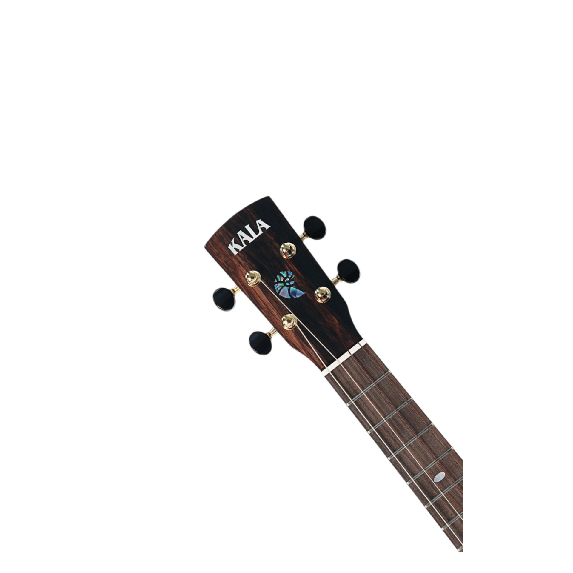 Revelator Nautilus Tenor Ukulele Horizon Black  Night Mango